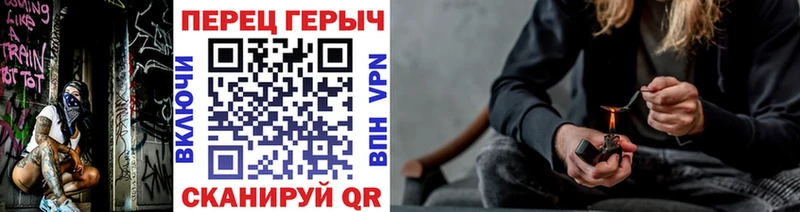 ГЕРОИН хмурый Олонец