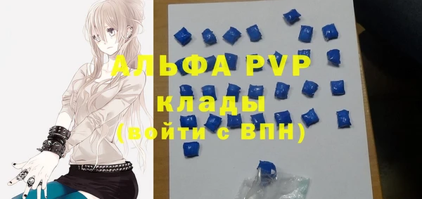 индика Нея