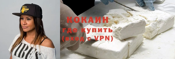 индика Нея
