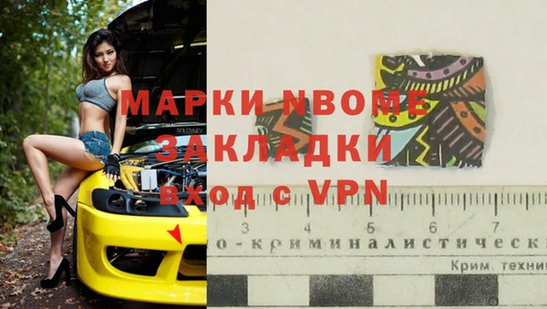 индика Нея