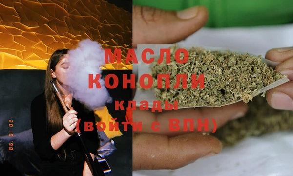 индика Нея