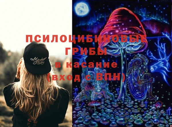 твердый Болотное