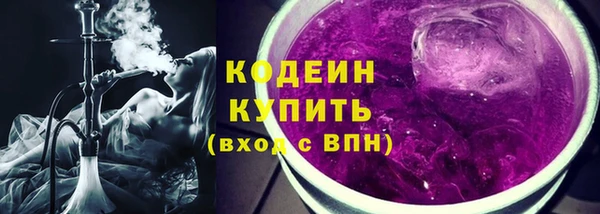 индика Нея