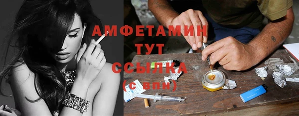 индика Нея