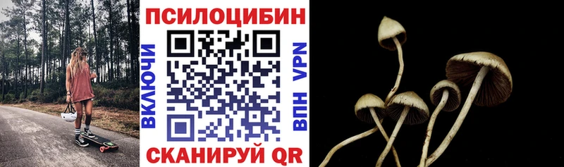 Псилоцибиновые грибы Psilocybe  Олонец 